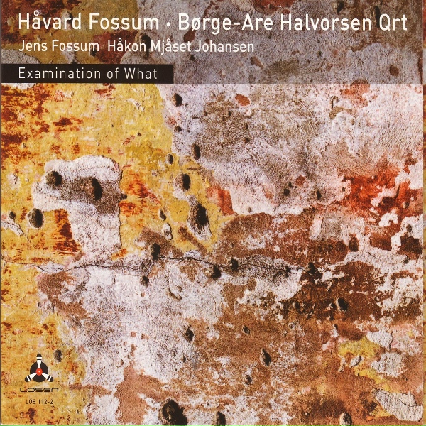 Обложка: Håvard Fossum, Børge-Are Halvorsen - Arnardo´s Rhumba