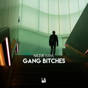 Обложка: Nezir Kara - Gang Bitches
