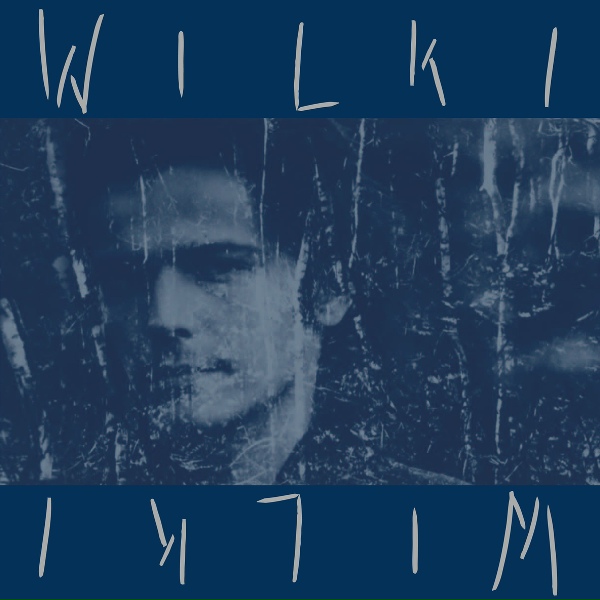 Обложка: Wilki - Cień W Dolinie Mgieł