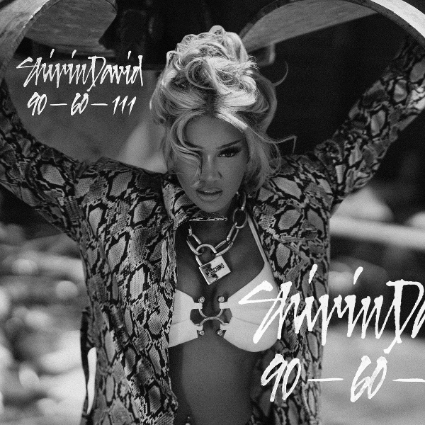Обложка: Shirin David - 90-60-111