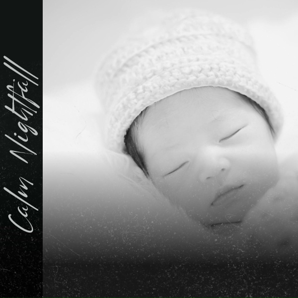 Обложка: Dreamy Sleep Music - Calm Sleep Music