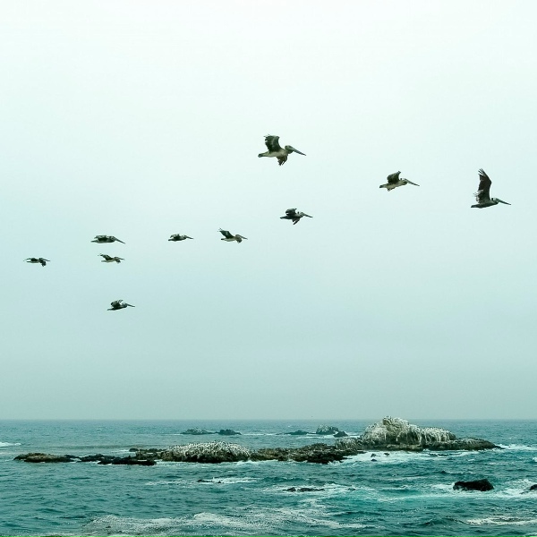 Обложка: Rain Sounds, Relaxing Music, Yoga - Autumn Again