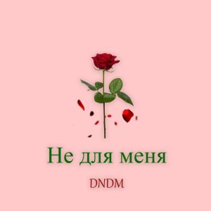 Обложка: DNDM - Не для меня