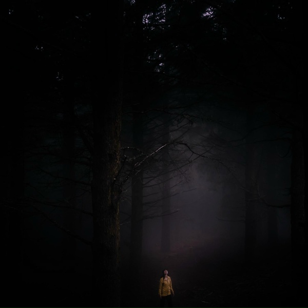 Обложка: nøave - Serene Twilight Meadow Path