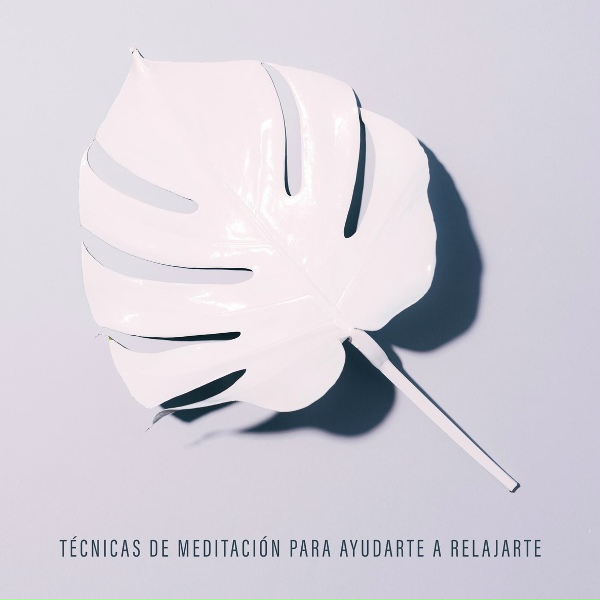 Обложка: Meditaciónessa - Técnicas de Meditación