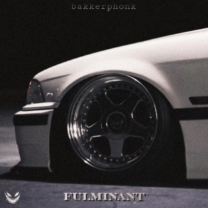 Обложка: bakkerphonk - state