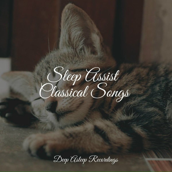 Обложка: Calm shores, Yoga Soul, Study Power - Morning Promise