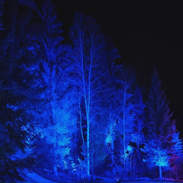 Обложка: Deep Depo - Night Park