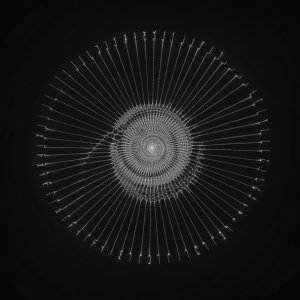 Обложка: The Kite String Tangle - IRIS