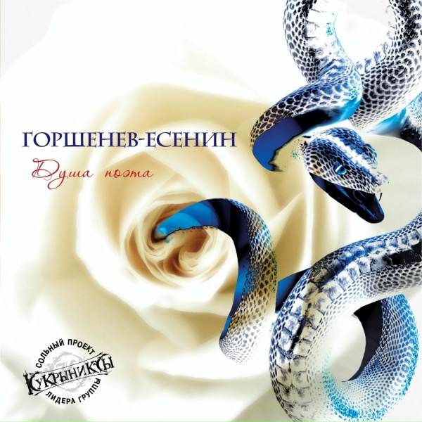 Обложка: Алексей Горшенёв - Чёрный человек