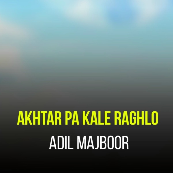 Обложка: Adil Majboor - Sta Didan Pasi Ba Sham Logay