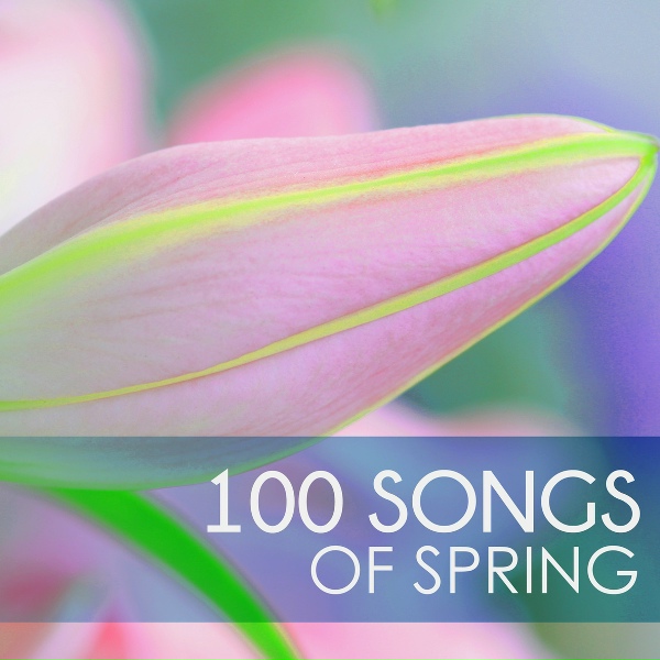Обложка: Spring Awakening - Sleep Chanting