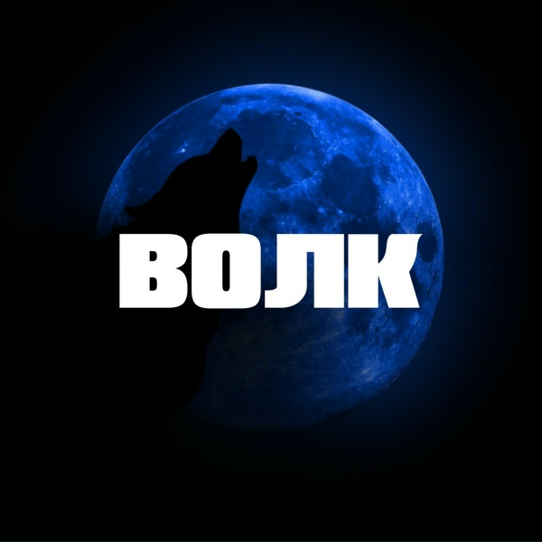 Обложка: Тестостерович - Волк