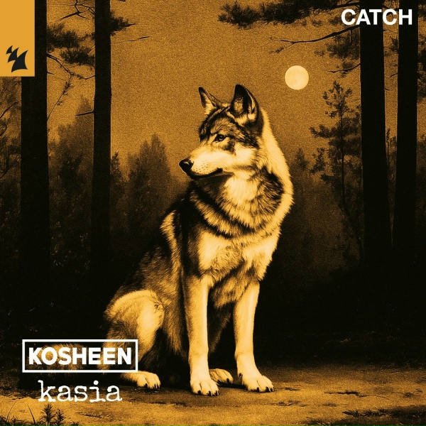 Обложка: Kosheen, KASIA - Catch