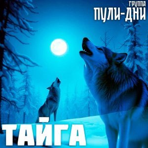 Обложка: Группа Пули-Дни - Хиромант
