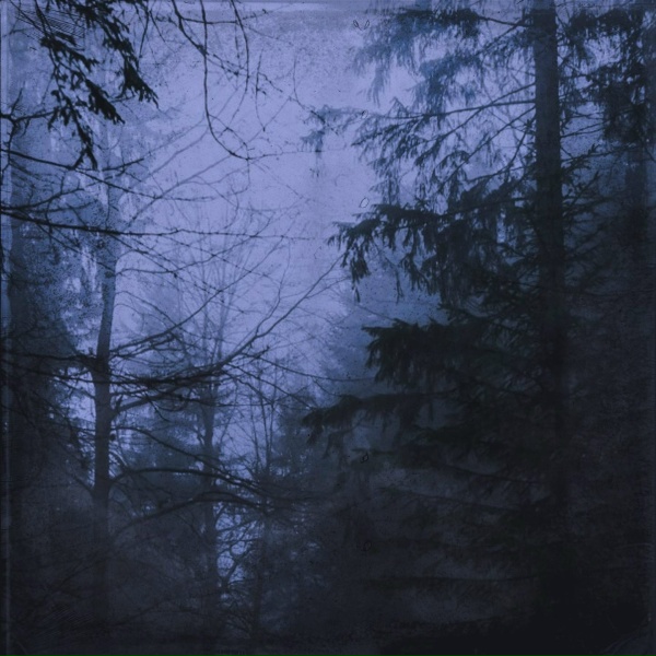 Обложка: NIGHT SNOW - Dark Flora