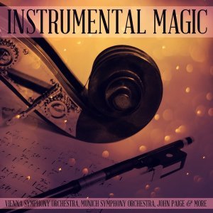 Обложка: Mozarteum Orchestra - Theme From Elvira Madigan