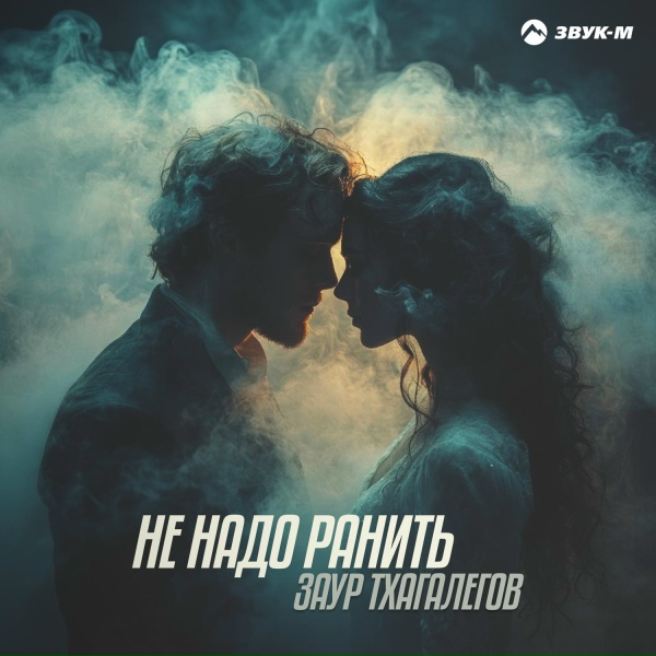 Обложка: Заур Тхагалегов - Не надо ранить
