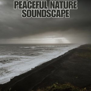 Обложка: symphony orchestra sound elegance and glamor attitude - Soft Thunderstorm Sounds