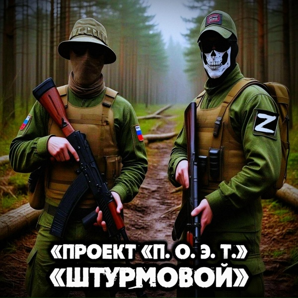 Обложка: «Проект «П. О. Э. Т.» - Разразилась буря!