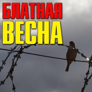 Обложка: Слава Бобков - Чик чирик