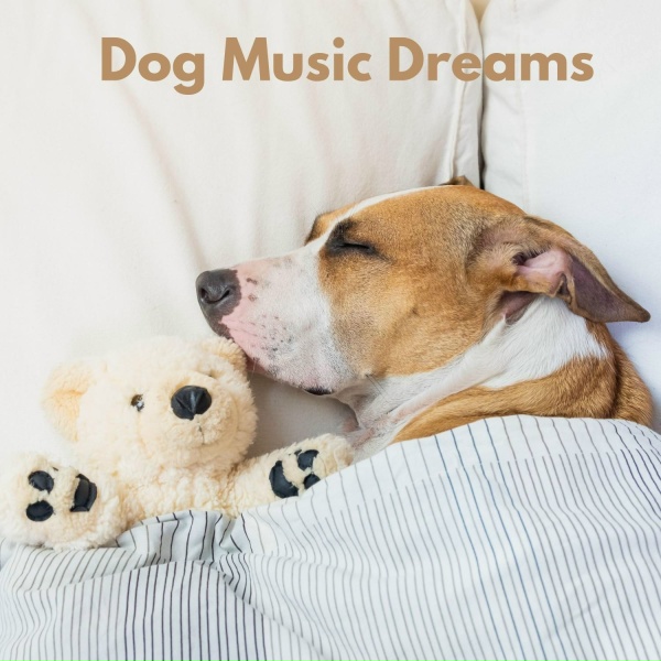 Обложка: Calming Music For Pets - Relax My Dog
