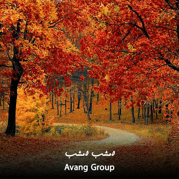 Обложка: Avang Group - امشب امشب