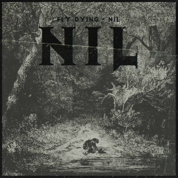 Обложка: Fly Dying - Nil