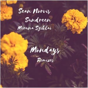 Обложка: Sean Norvis feat. Sundreen, Miruna Sziklai - Mondays