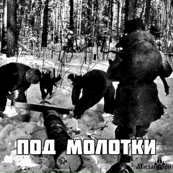 Обложка: Мизантроп, Гиперкуб - Под молотки