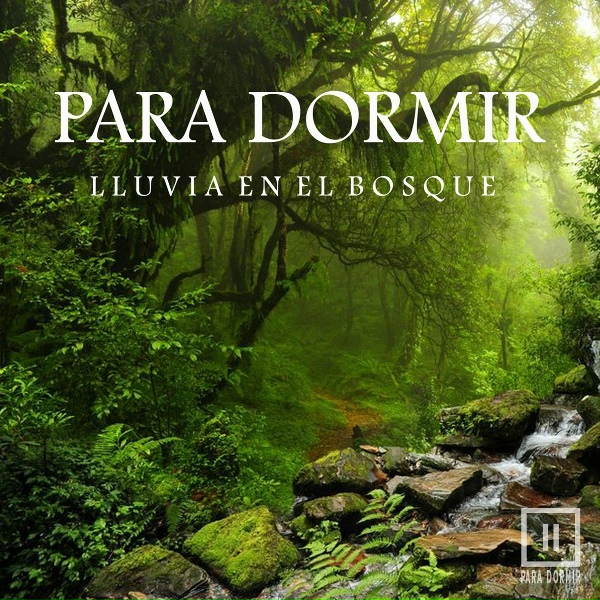 Обложка: Para Dormir - Lluvia Suave en el Bosque