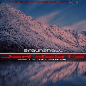 Обложка: Braunshall - Ain't Nobody (Loves Me Better)