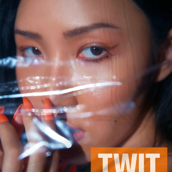 Обложка: Hwa Sa - TWIT