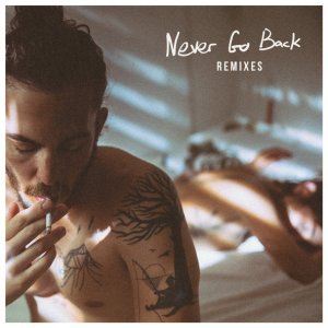 Обложка: Dennis Lloyd, Robin Schulz - Never Go Back