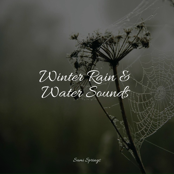 Обложка: Tonal Meditation Collective, Wellness, Sleep Rain - Rain, Leaves, Evening