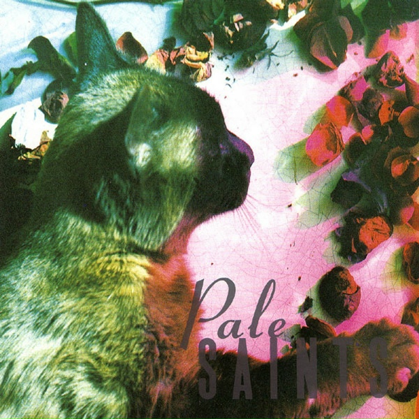 Обложка: Pale Saints - Insubstantial