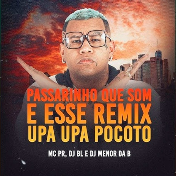 Обложка: MC PR, DJ BL, DJ Menor da B - Passarinho Que Som É Esse?