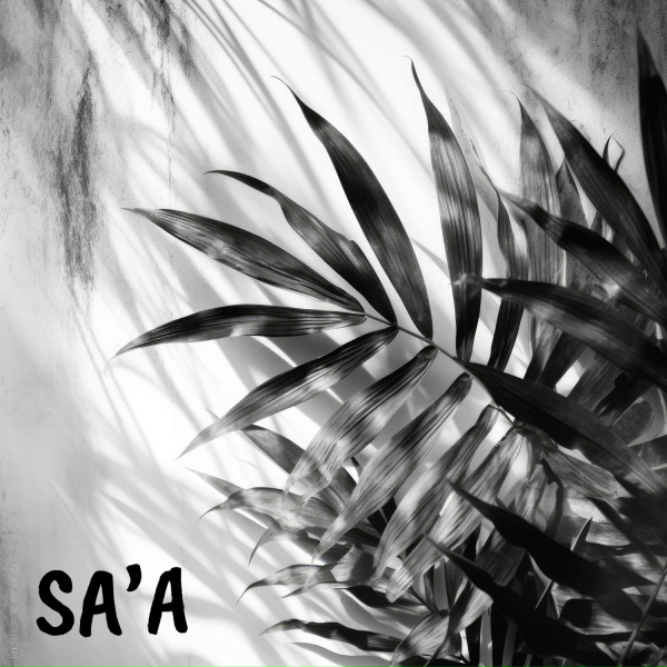 Обложка: ROOZE - Sa'a