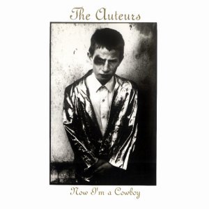 Обложка: The Auteurs - Lenny Valentino