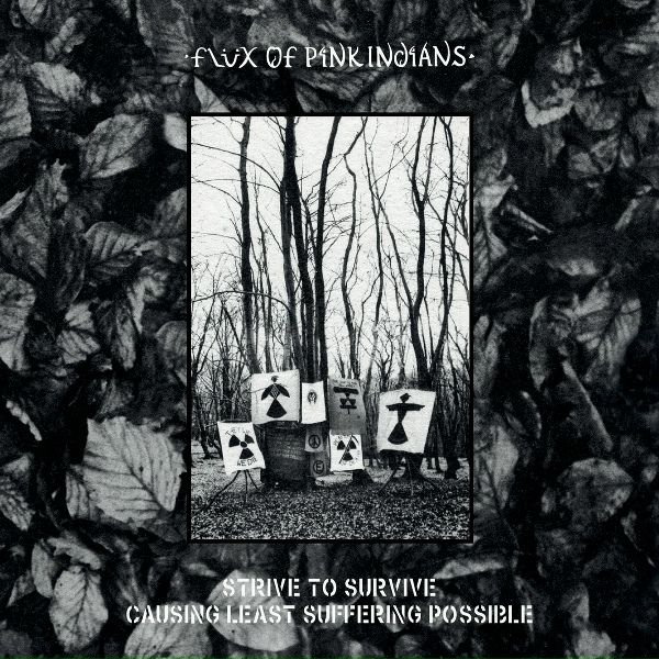 Обложка: Flux of Pink Indians - Progress