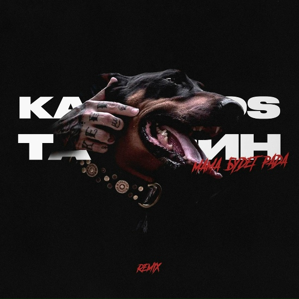Обложка: ТАТАРИН, KALVADOS - Мама будет рада (Remix)