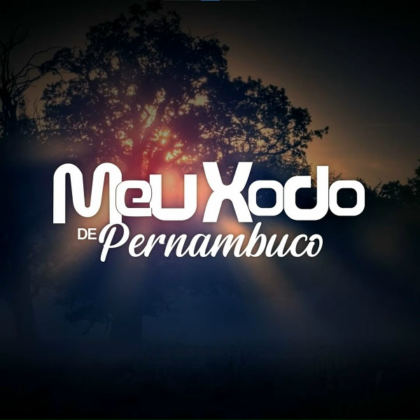 Обложка: Banda Meu Xodó De Pernambuco - Máquina do Tempo