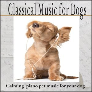 Обложка: Robbins Island Music Artists - Sonata