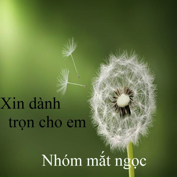 Обложка: Nhóm Mắt Ngọc - Khi nào em buồn