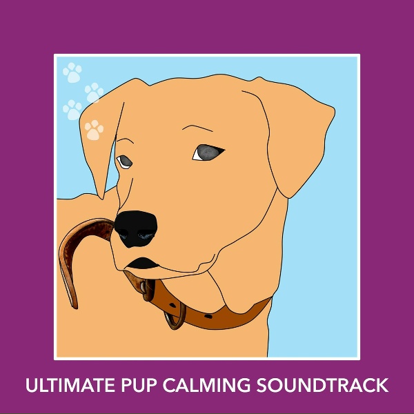 Обложка: Calm My Dog - Cosmic Forest