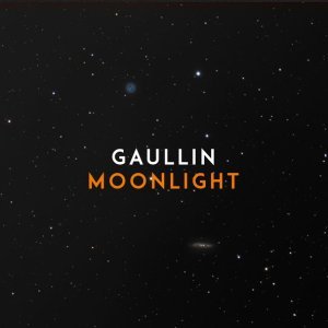 Обложка: Gaullin - Moonlight