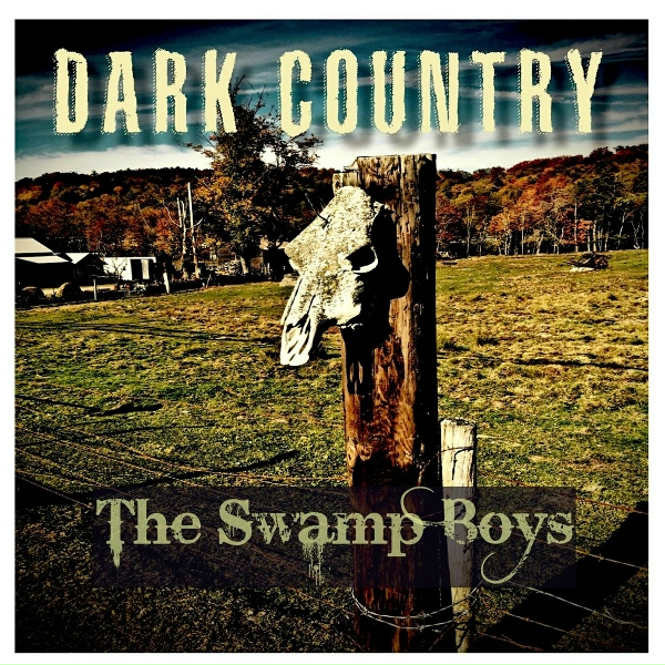 Обложка: The Swamp Boys feat. Graham Wright, Steve O'Neill - Some Are Born
