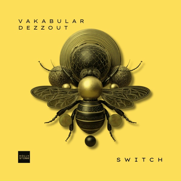 Обложка: Vakabular, DEZZOUT - Switch