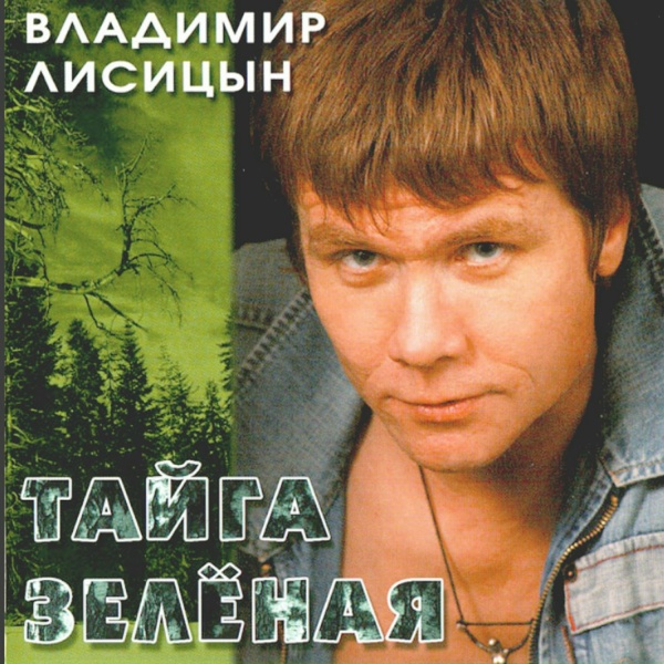 Обложка: Лисицын Владимир - Летит душа