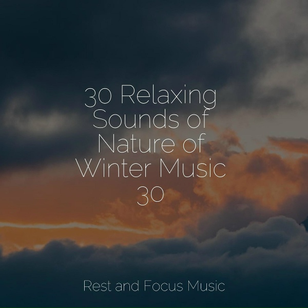 Обложка: Tinnitus, Deep Sleep Music Delta Binaural 432 Hz, Música de la Naturaleza - Sounds of Nature